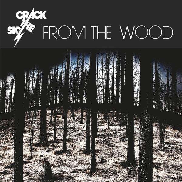 Cover art for From the Wood